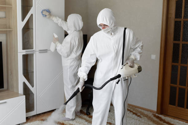 Best Industrial Mold Remediation in Harvey, LA